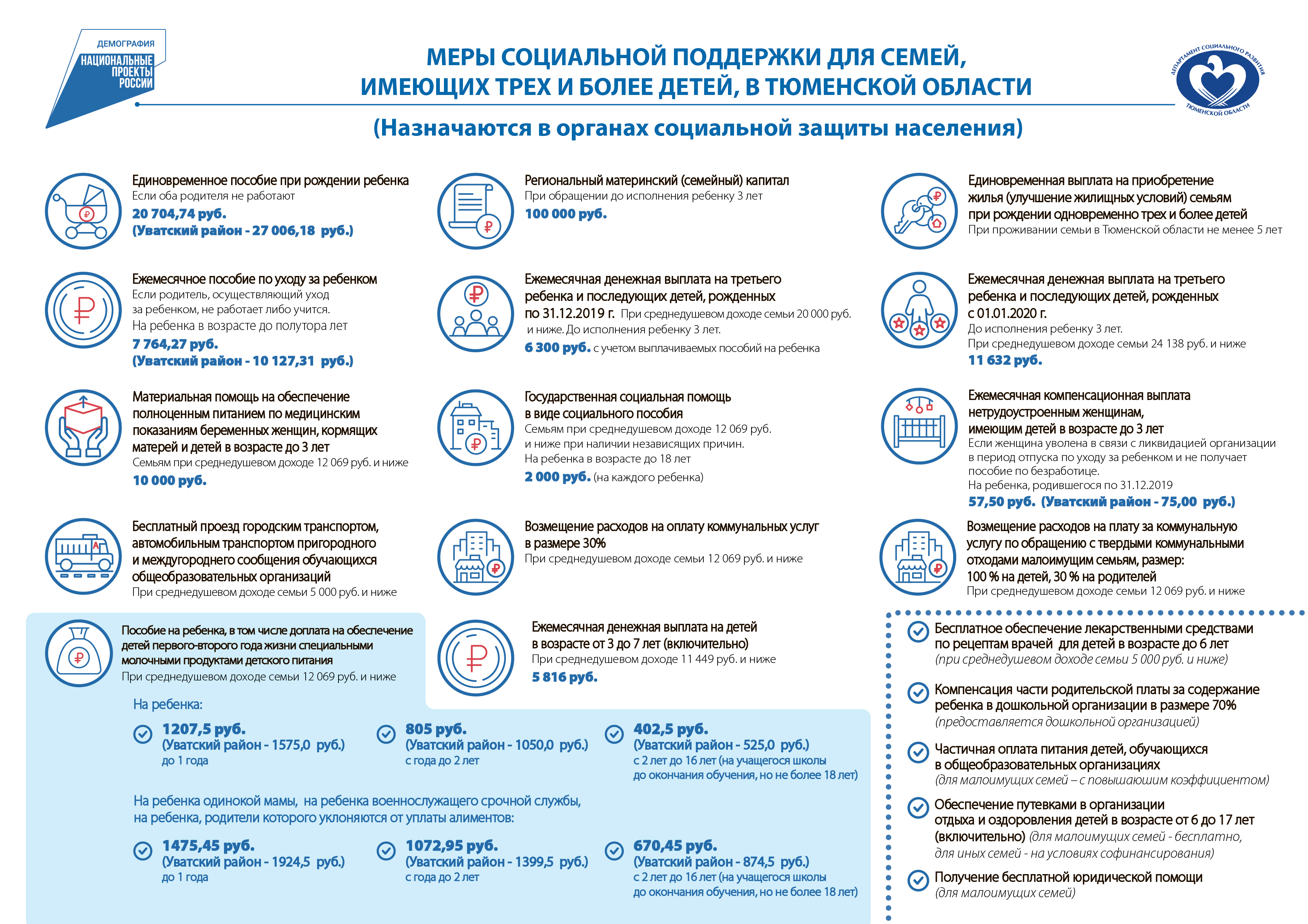 Социальная поддержка многодетных семей проект