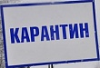 Карантин в школах Тюменской области продлен до 6 февраля