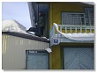 Уватские волонтеры убрали снег с крыши дома пенсионерки