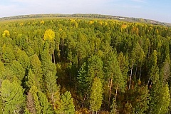 Лесной пожар не представляет угрозу жителям Луговослинкина