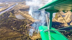В Уватском районе потушили 4 лесных пожара и один ландшафтный
