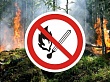 В лесах Тюменской области установлен пожароопасный сезон