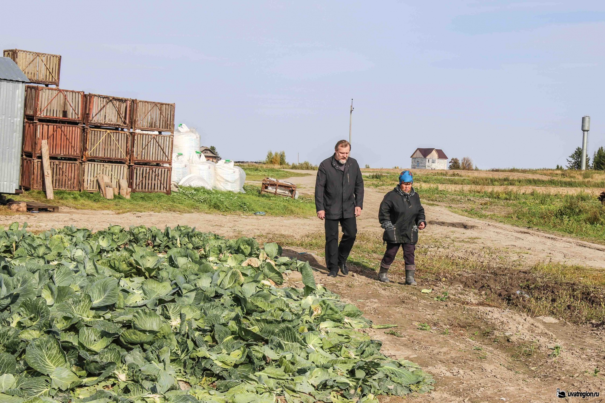 Погода в солянке на 10